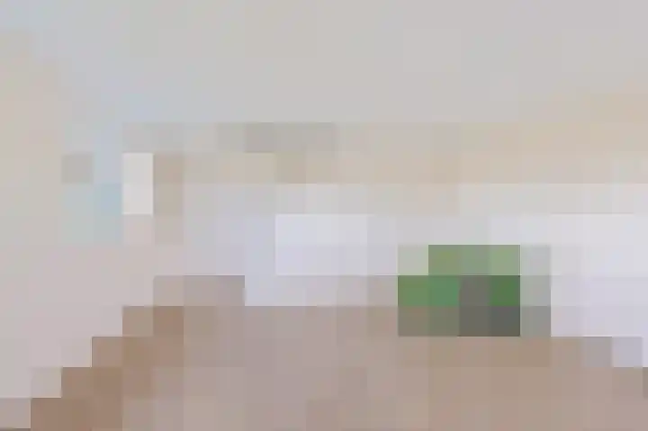 Jachtlustweg 28 Wijckel thumbnail 40