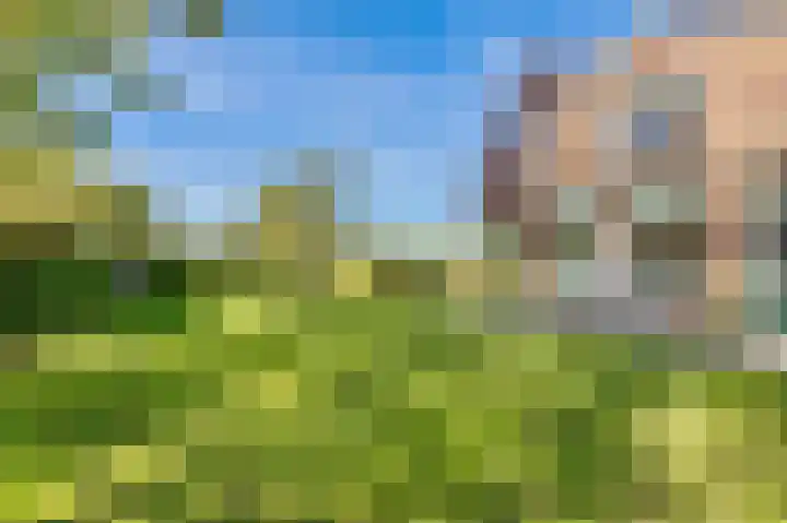 Jachtlustweg 28 Wijckel thumbnail 55