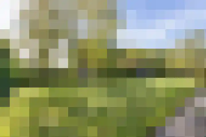 Jachtlustweg 28 Wijckel thumbnail 56