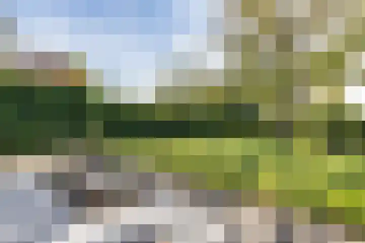 Jachtlustweg 28 Wijckel thumbnail 58