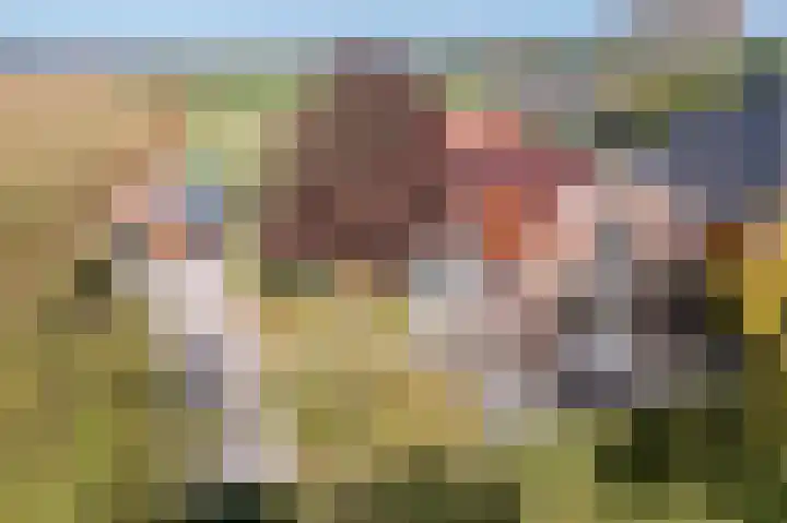 Jachtlustweg 28 Wijckel thumbnail 6