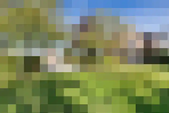 Jachtlustweg 28 Wijckel thumbnail 60