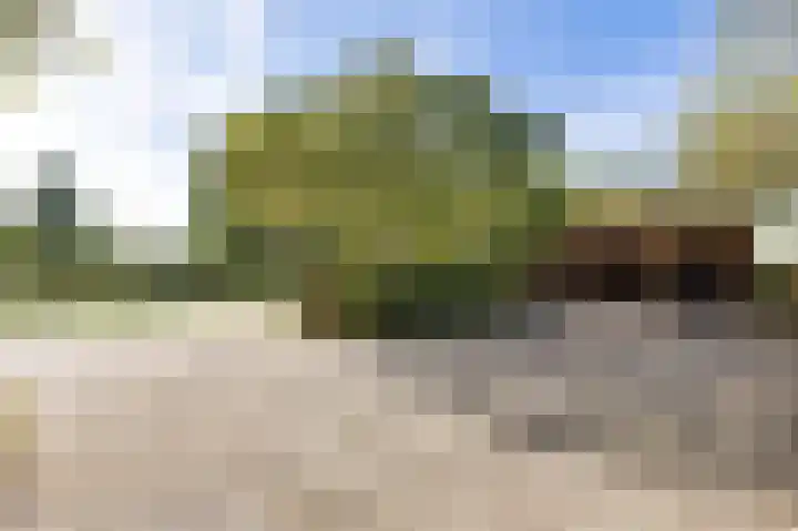 Jachtlustweg 28 Wijckel thumbnail 63