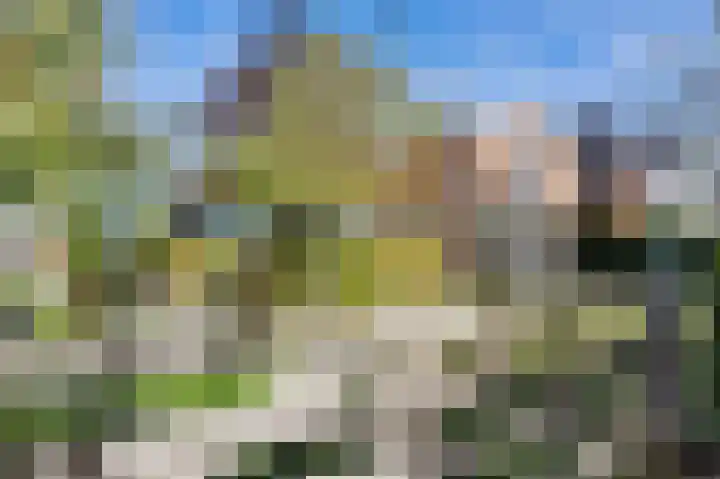Jachtlustweg 28 Wijckel thumbnail 64
