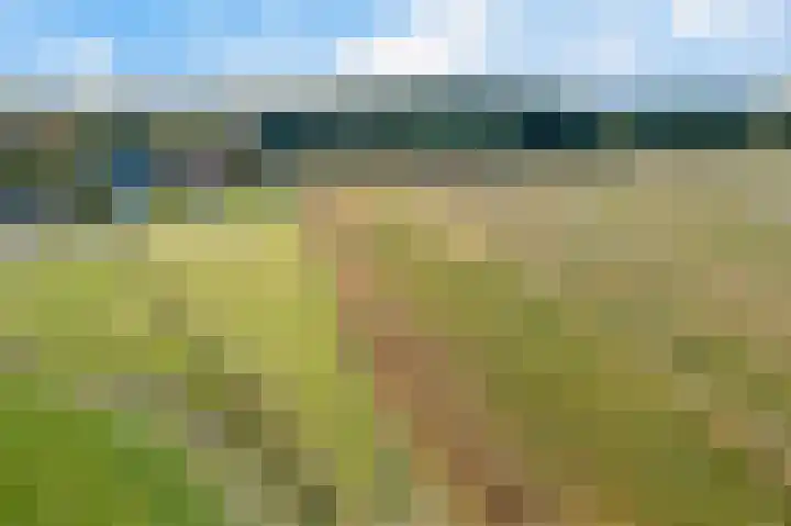 Jachtlustweg 28 Wijckel thumbnail 8