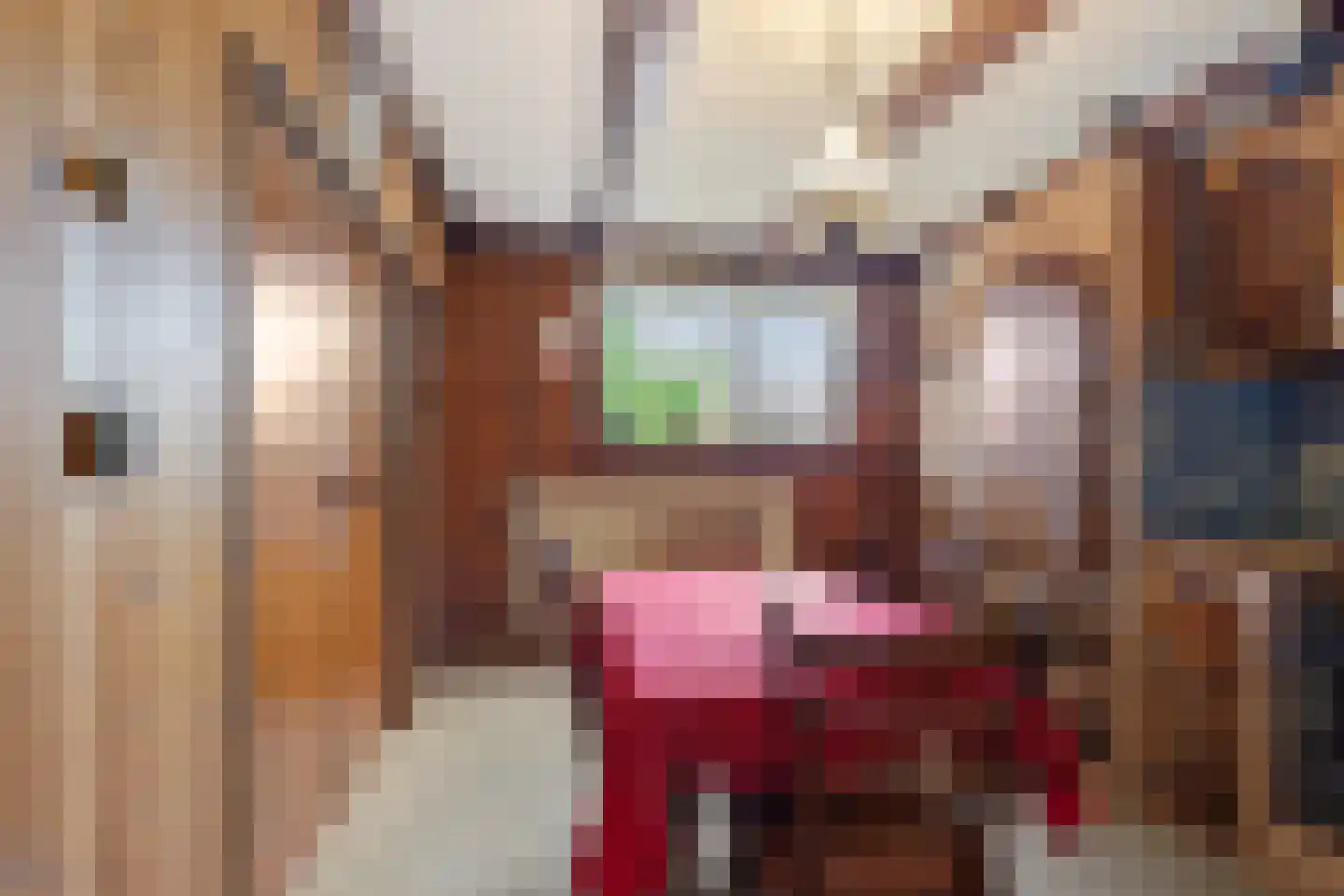Jachtlustweg 6 Wijckel thumbnail 10