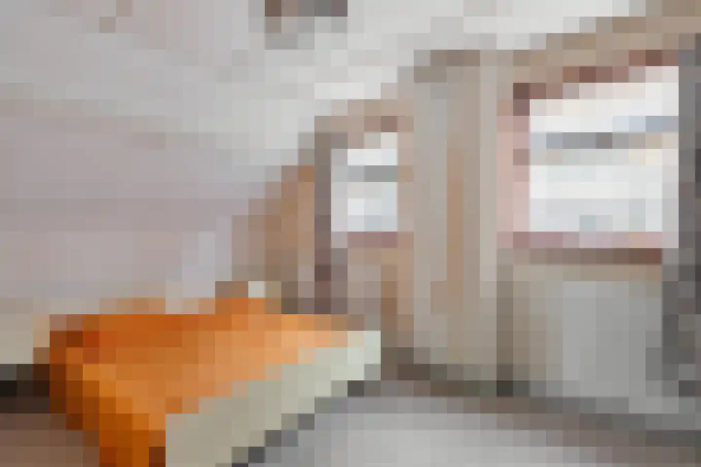 Jachtlustweg 6 Wijckel thumbnail 17