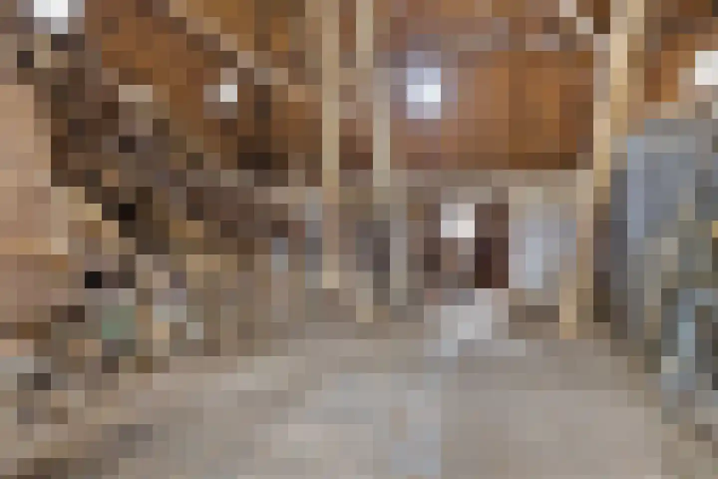 Jachtlustweg 6 Wijckel thumbnail 24
