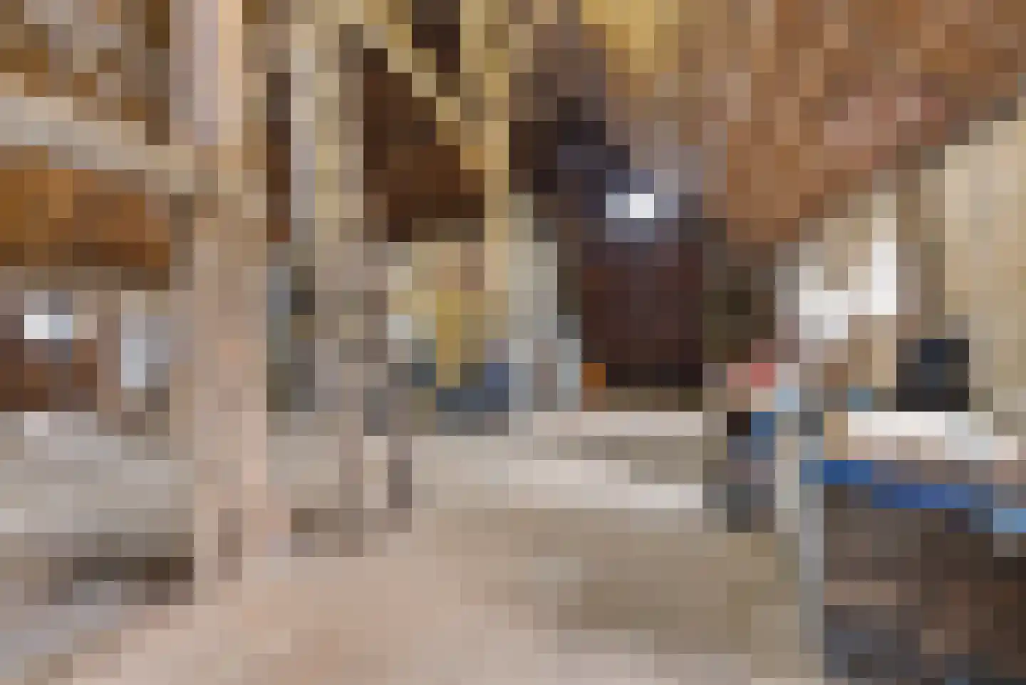 Jachtlustweg 6 Wijckel thumbnail 25