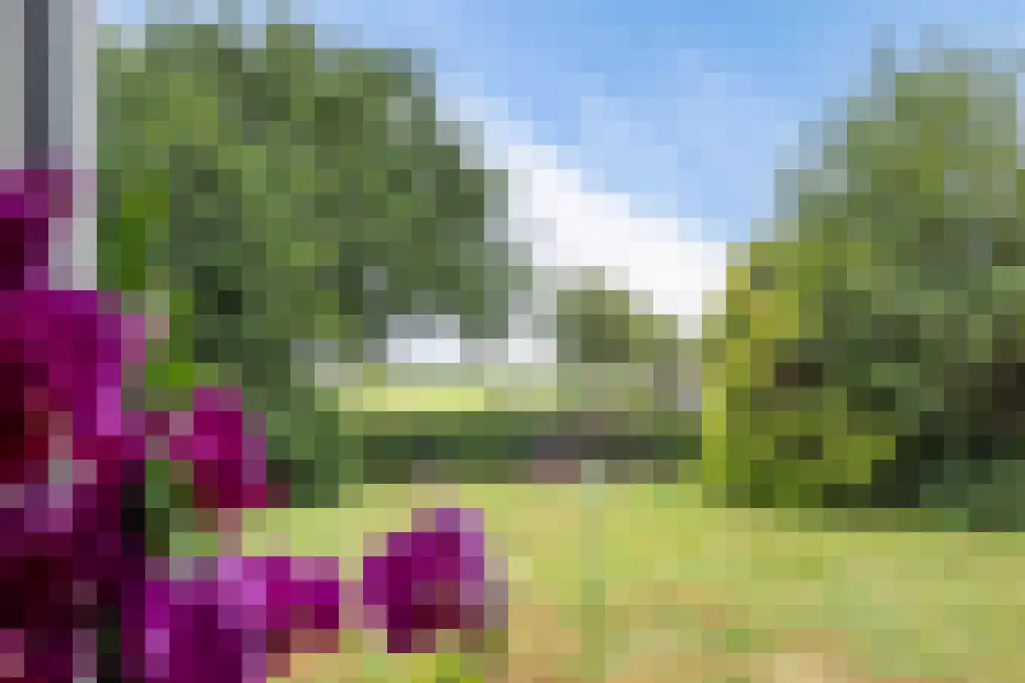 Jachtlustweg 6 Wijckel thumbnail 33