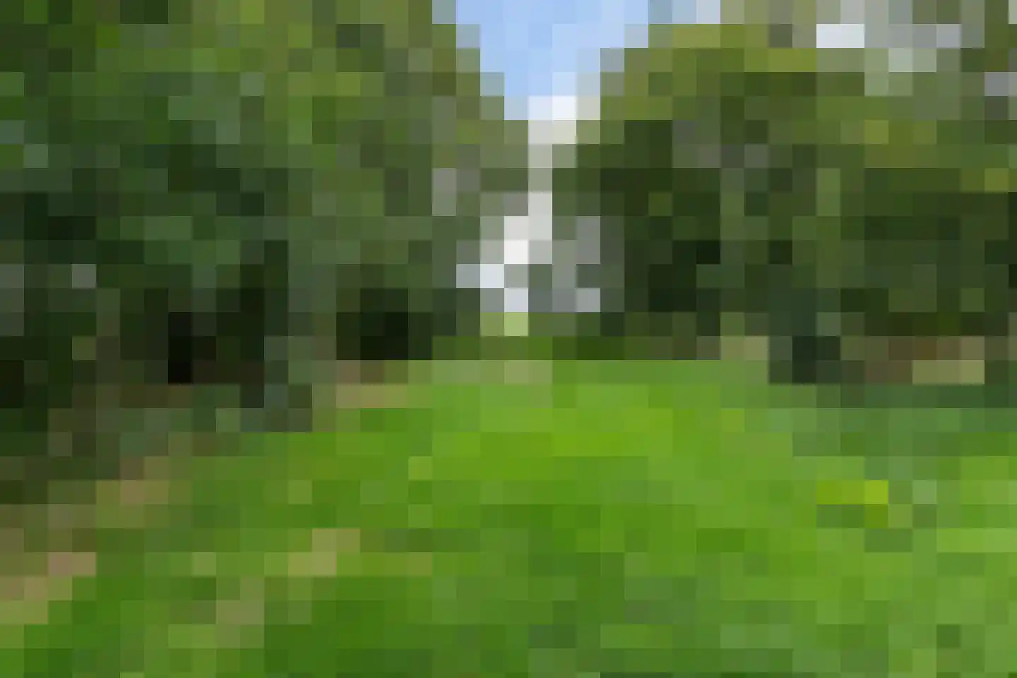 Jachtlustweg 6 Wijckel thumbnail 35