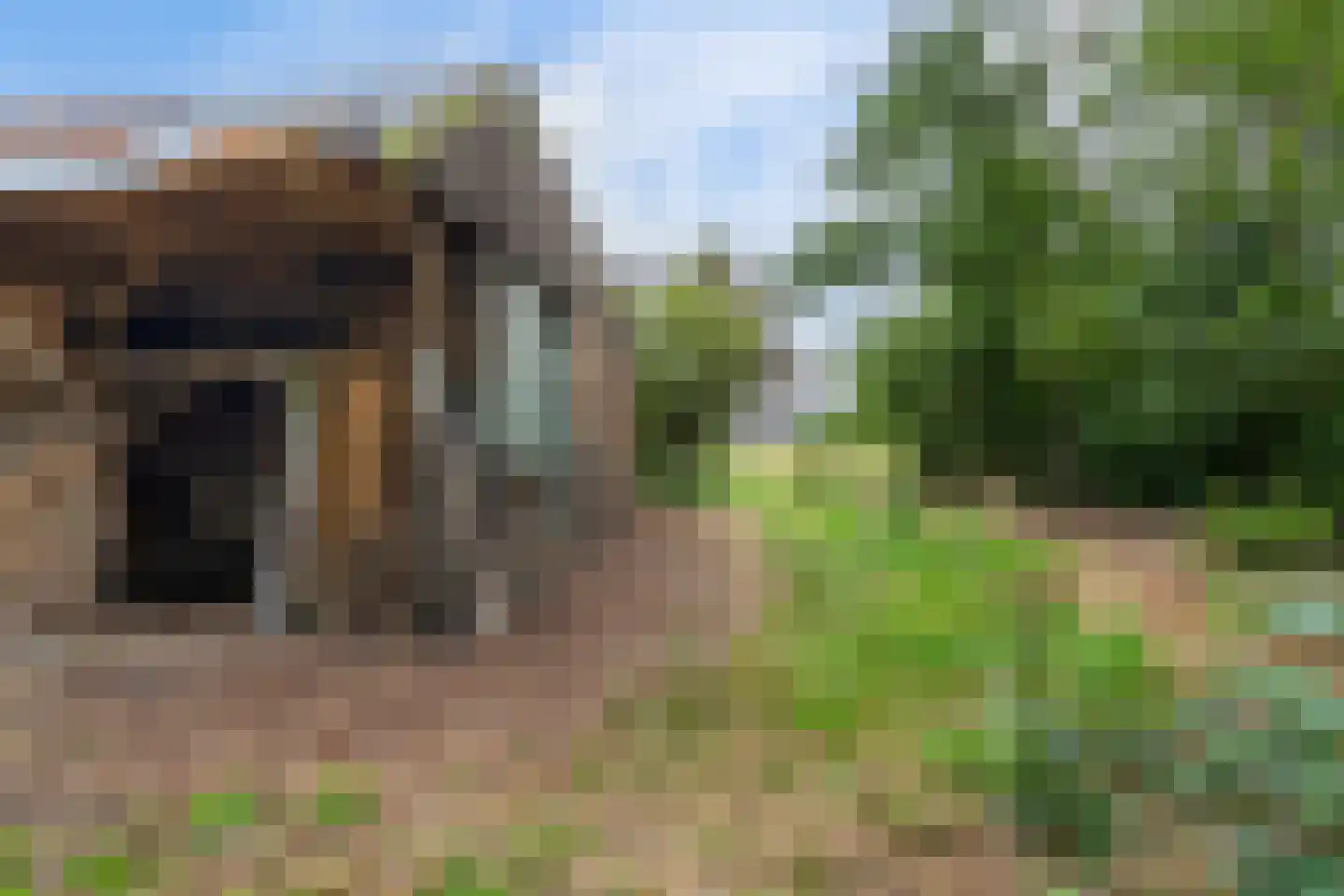 Jachtlustweg 6 Wijckel thumbnail 43