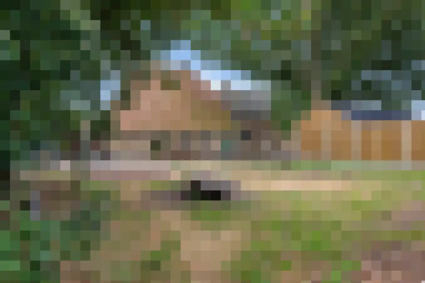 Jachtlustweg 6 Wijckel thumbnail 44