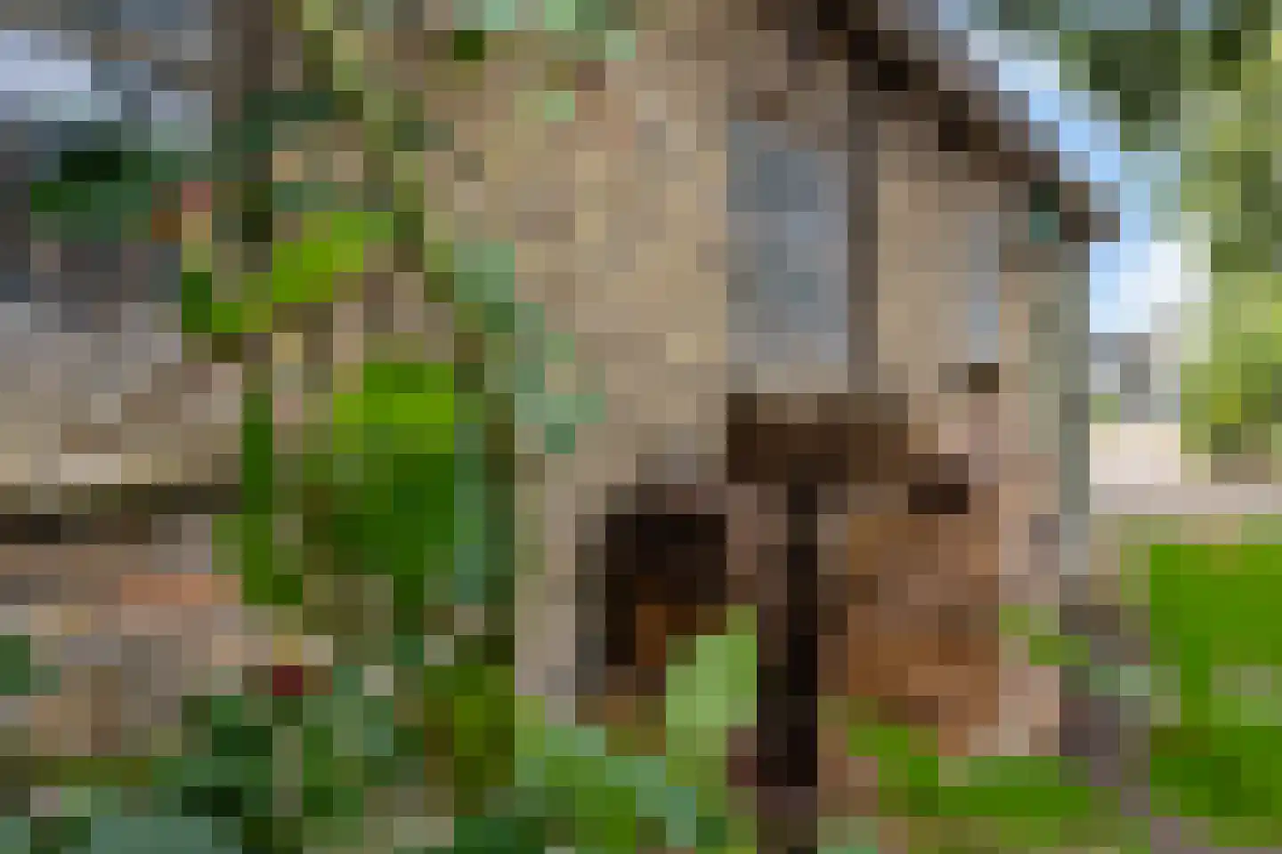 Jachtlustweg 6 Wijckel thumbnail 47