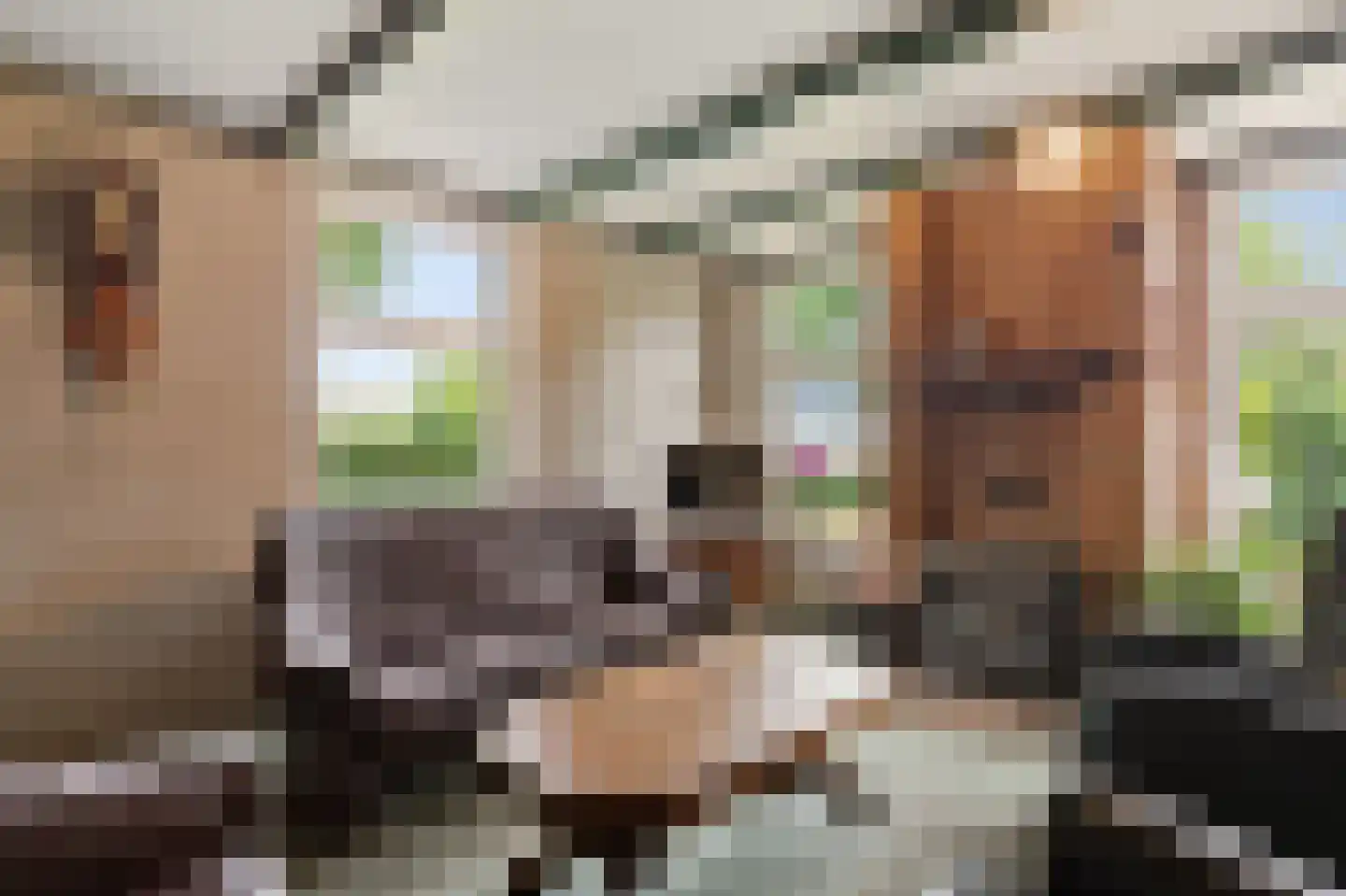 Jachtlustweg 6 Wijckel thumbnail 6