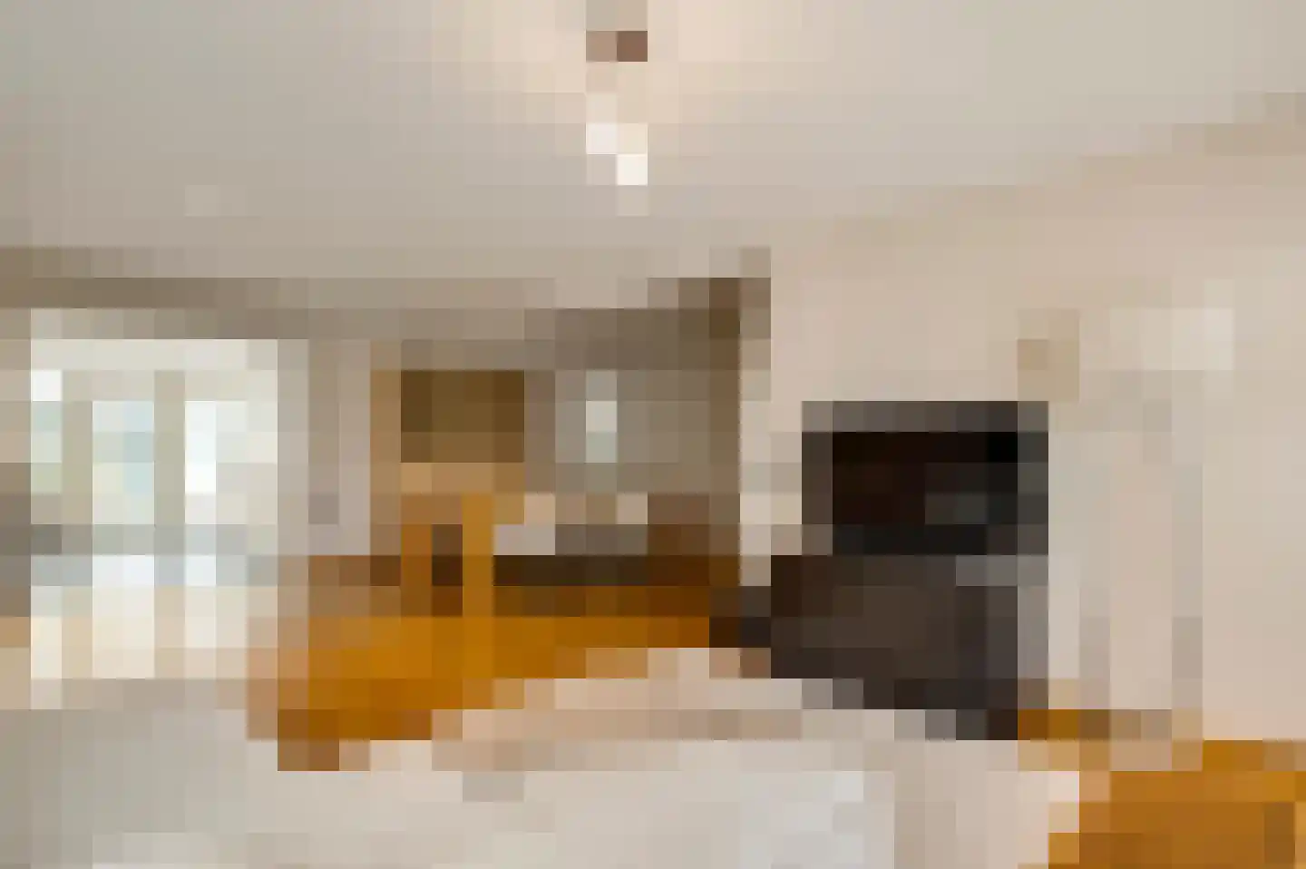 Jachtmeesterlaan 1 Horn thumbnail 18