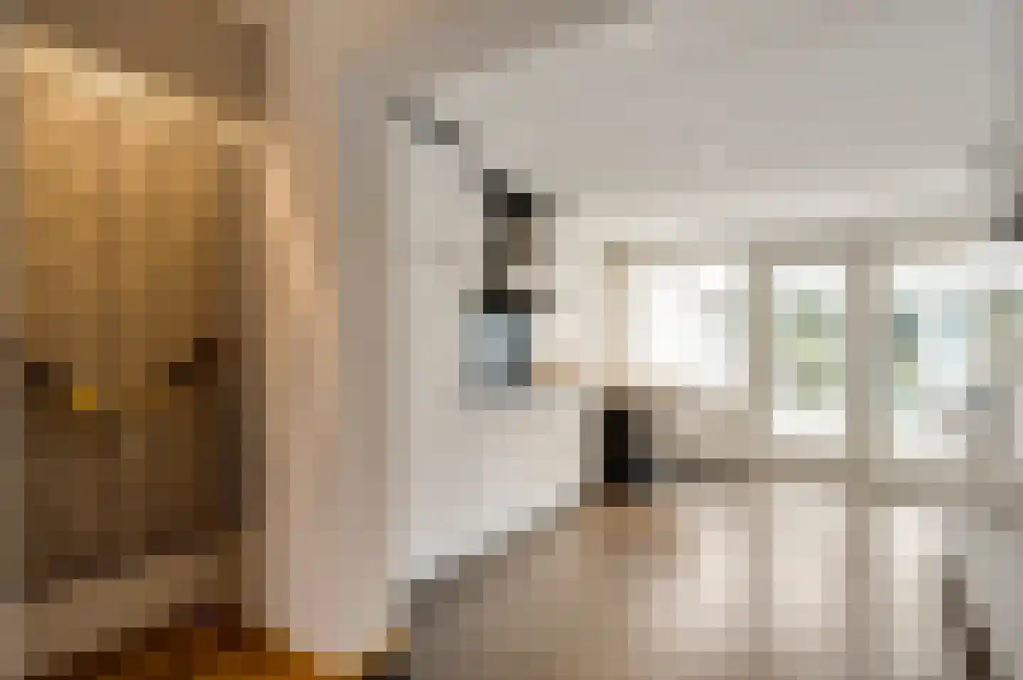 Jachtmeesterlaan 1 Horn thumbnail 20