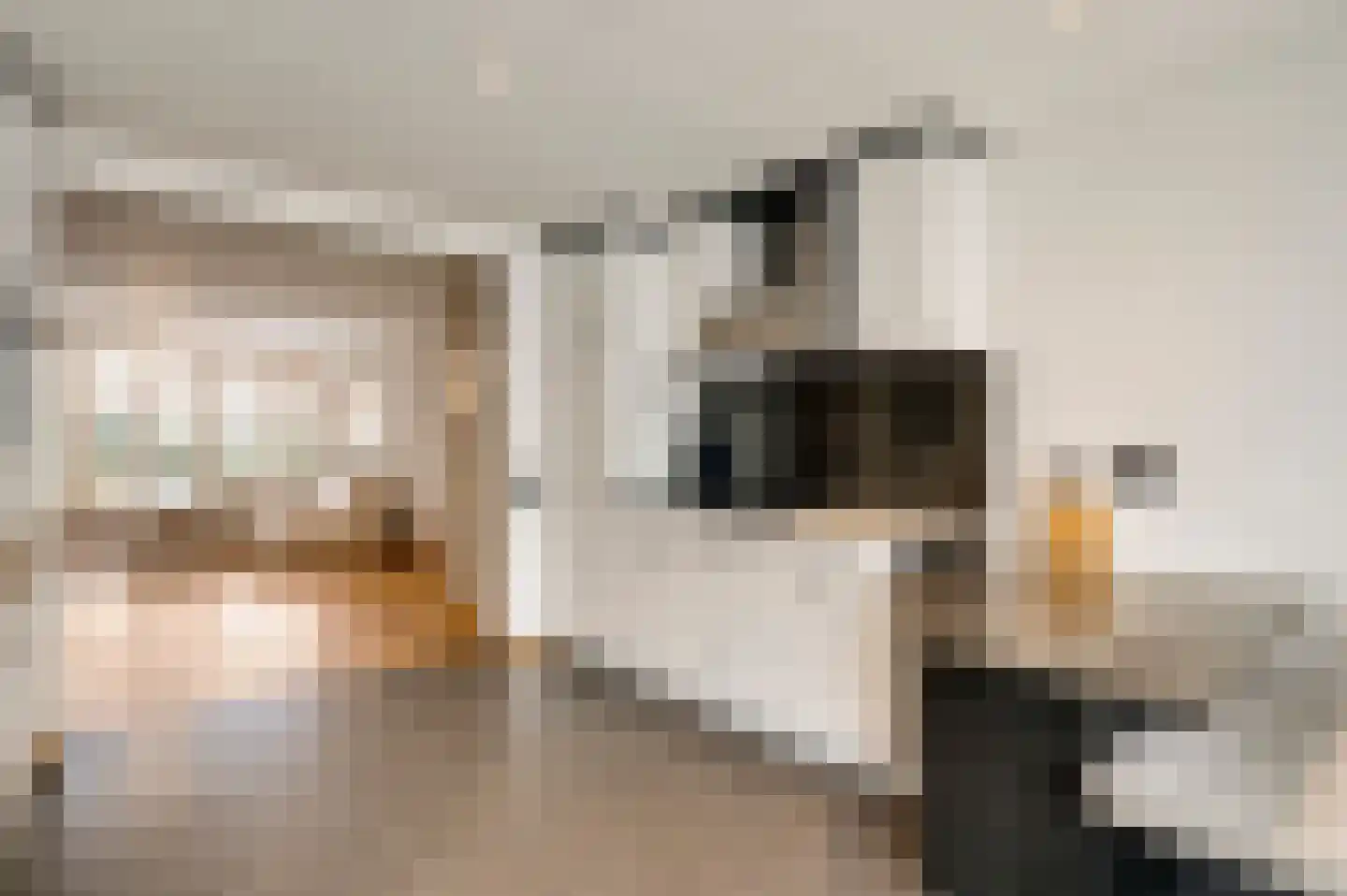 Jachtmeesterlaan 1 Horn thumbnail 23
