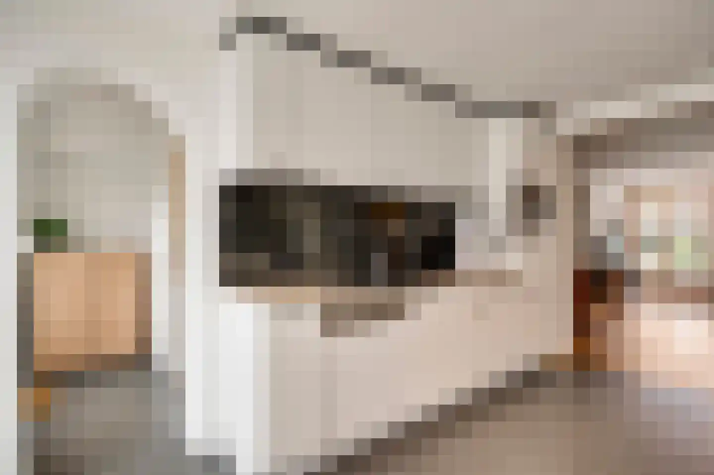 Jachtmeesterlaan 1 Horn thumbnail 24