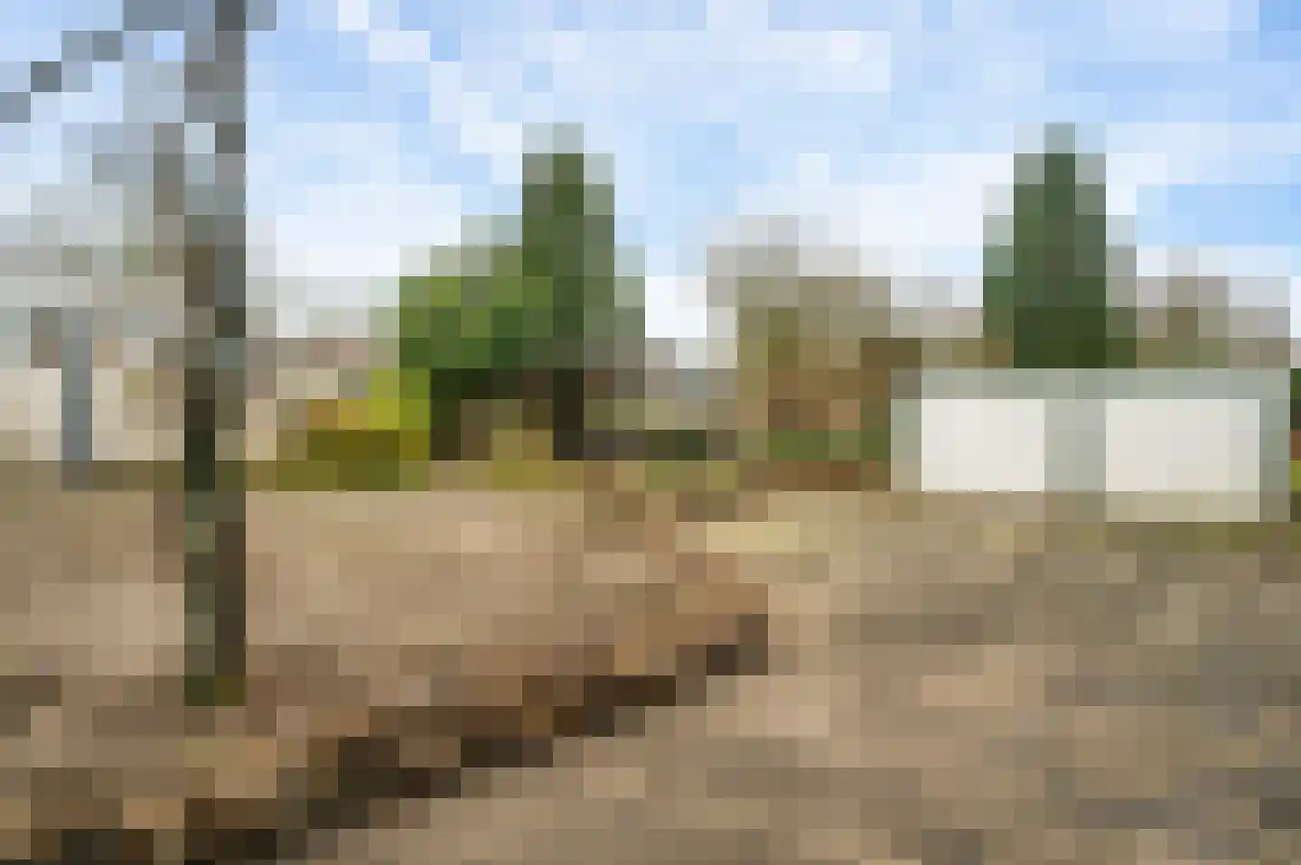 Jachtmeesterlaan 1 Horn thumbnail 27