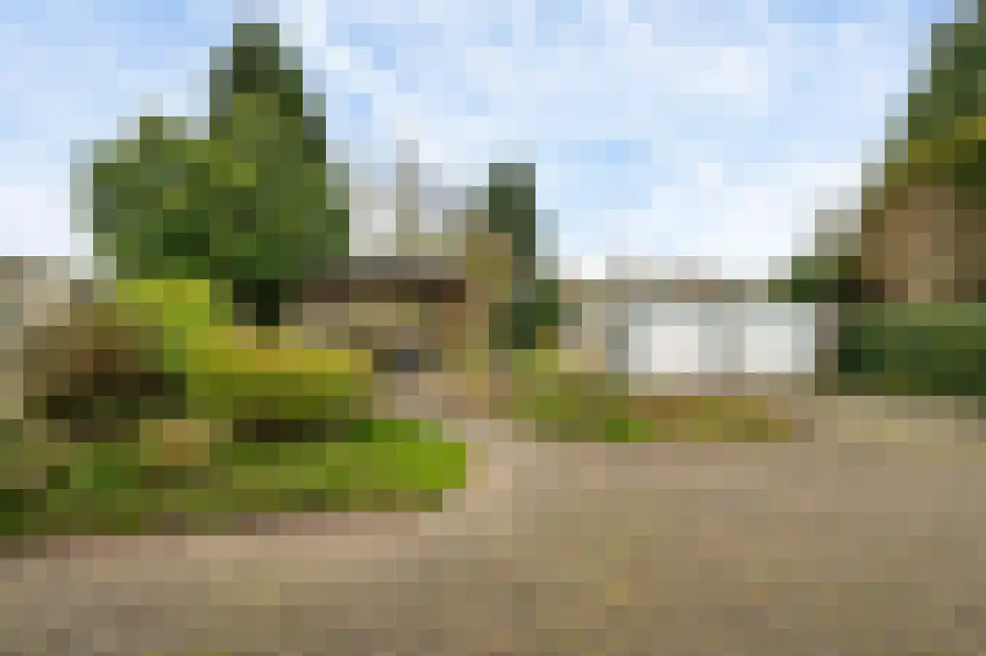 Jachtmeesterlaan 1 Horn thumbnail 29