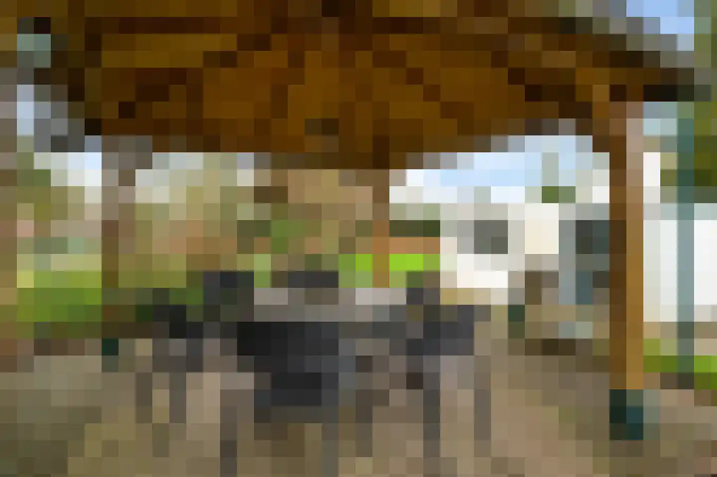 Jachtmeesterlaan 1 Horn thumbnail 30