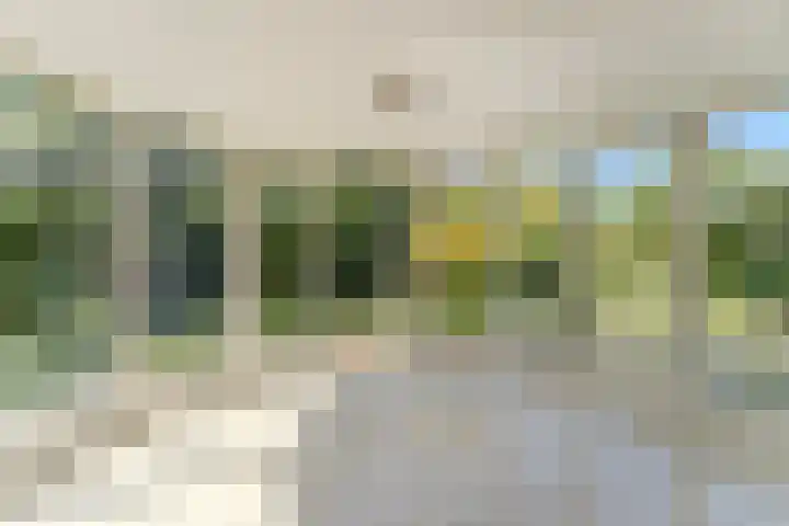 Jachtopziener 1 Leusden thumbnail 13