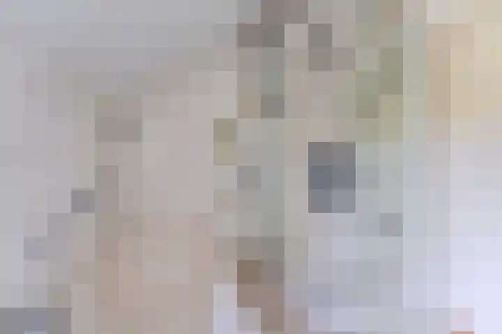 Jachtopziener 1 Leusden thumbnail 32