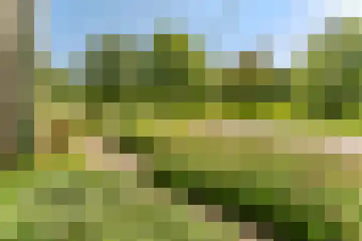 Jachtopziener 1 Leusden thumbnail 4