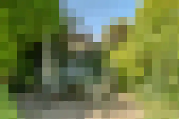 Jachtopziener 1 Leusden thumbnail 41