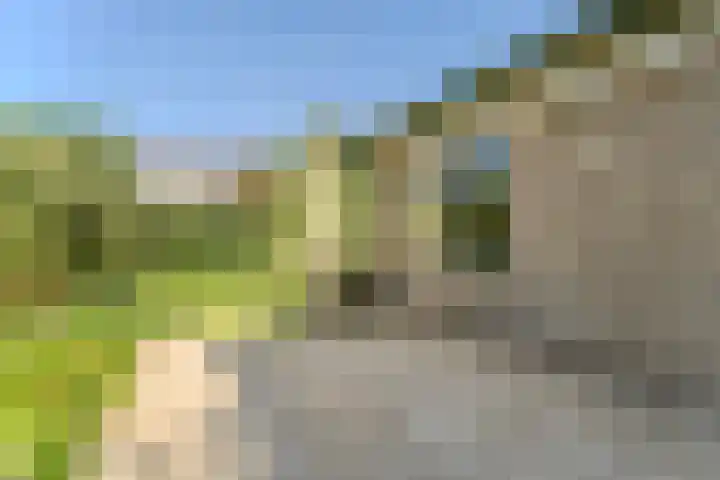 Jachtopziener 1 Leusden thumbnail 45