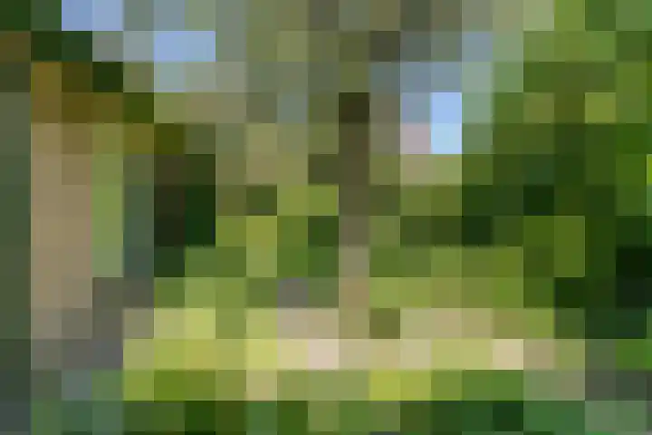Jachtopziener 1 Leusden thumbnail 47