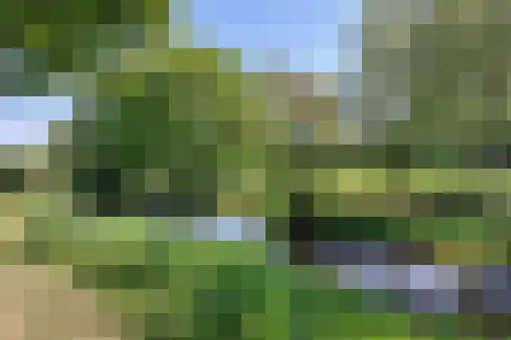 Jachtopziener 1 Leusden thumbnail 49