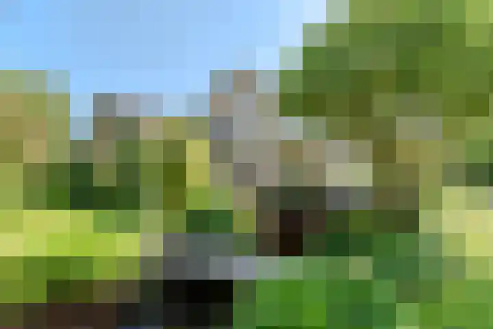 Jachtopziener 1 Leusden thumbnail 5