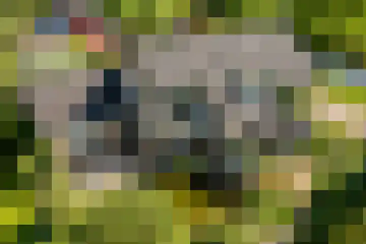 Jachtopziener 1 Leusden thumbnail 57