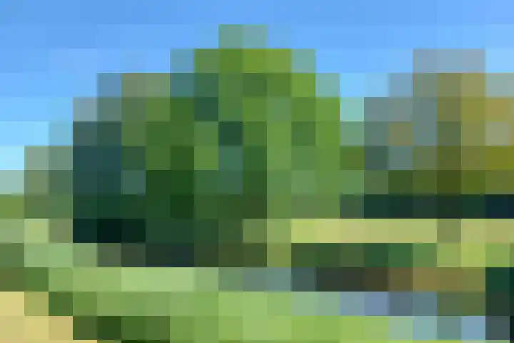 Jachtopziener 1 Leusden thumbnail 59