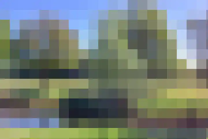Jachtopziener 1 Leusden thumbnail 60