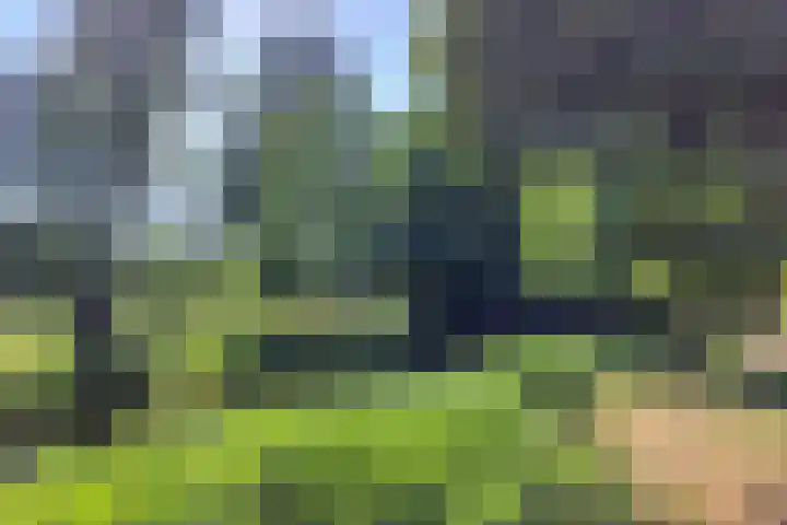 Jachtopziener 1 Leusden thumbnail 61