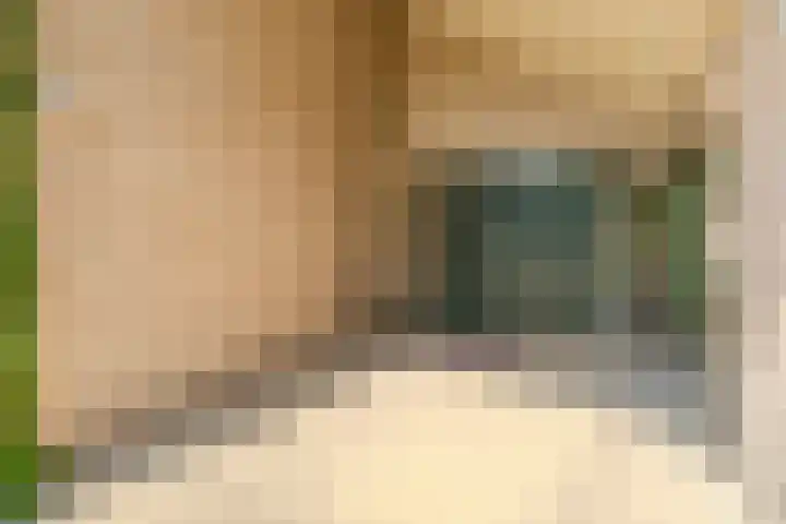 Jachtopziener 1 Leusden thumbnail 7
