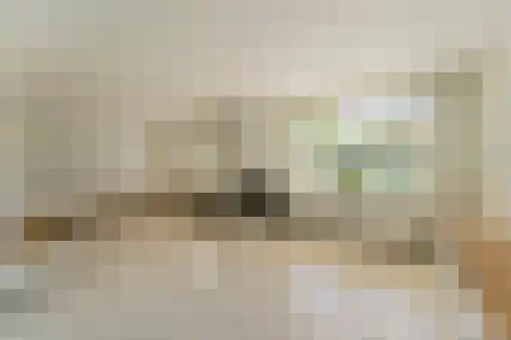 Jachtopziener 1 Leusden thumbnail 8