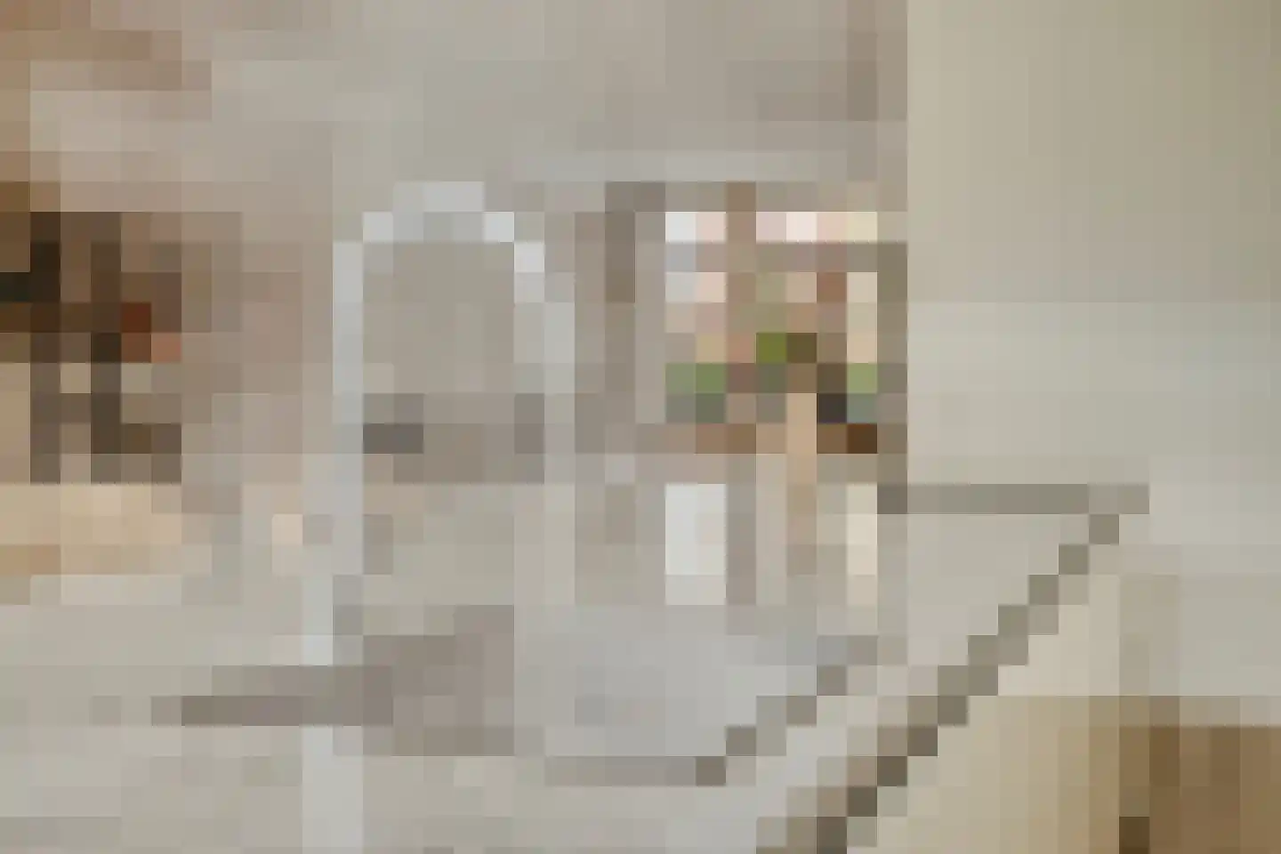 Jachtrust 13 Oegstgeest thumbnail 15