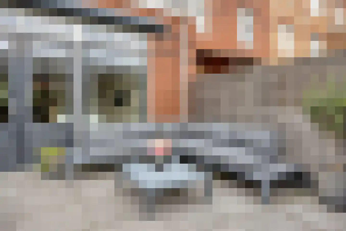 Jachtrust 13 Oegstgeest thumbnail 22