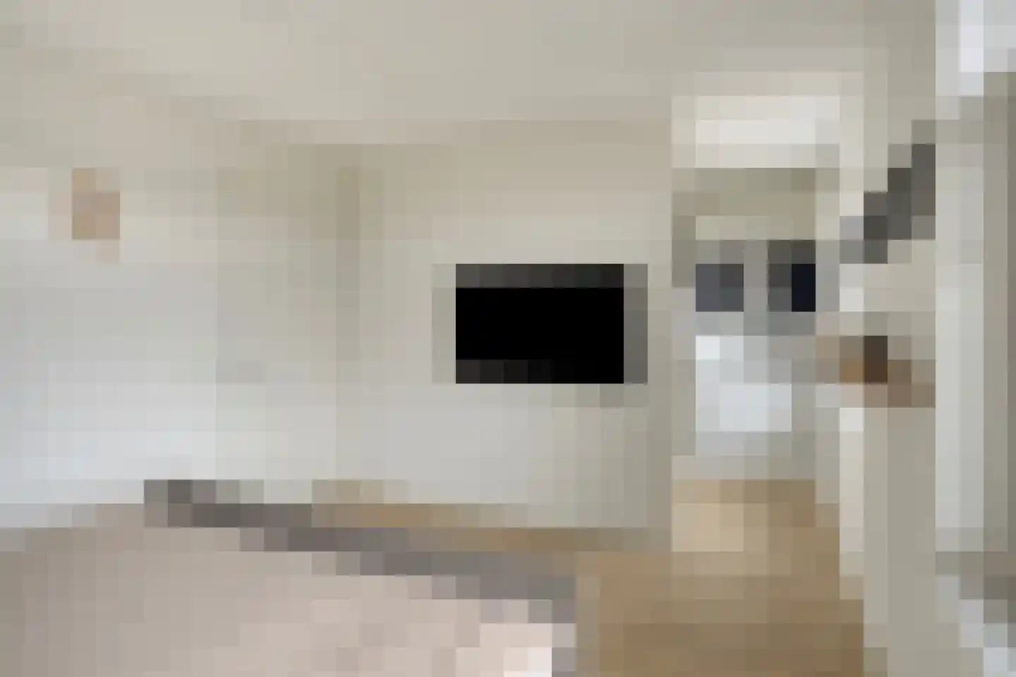 Jachtrust 13 Oegstgeest thumbnail 38