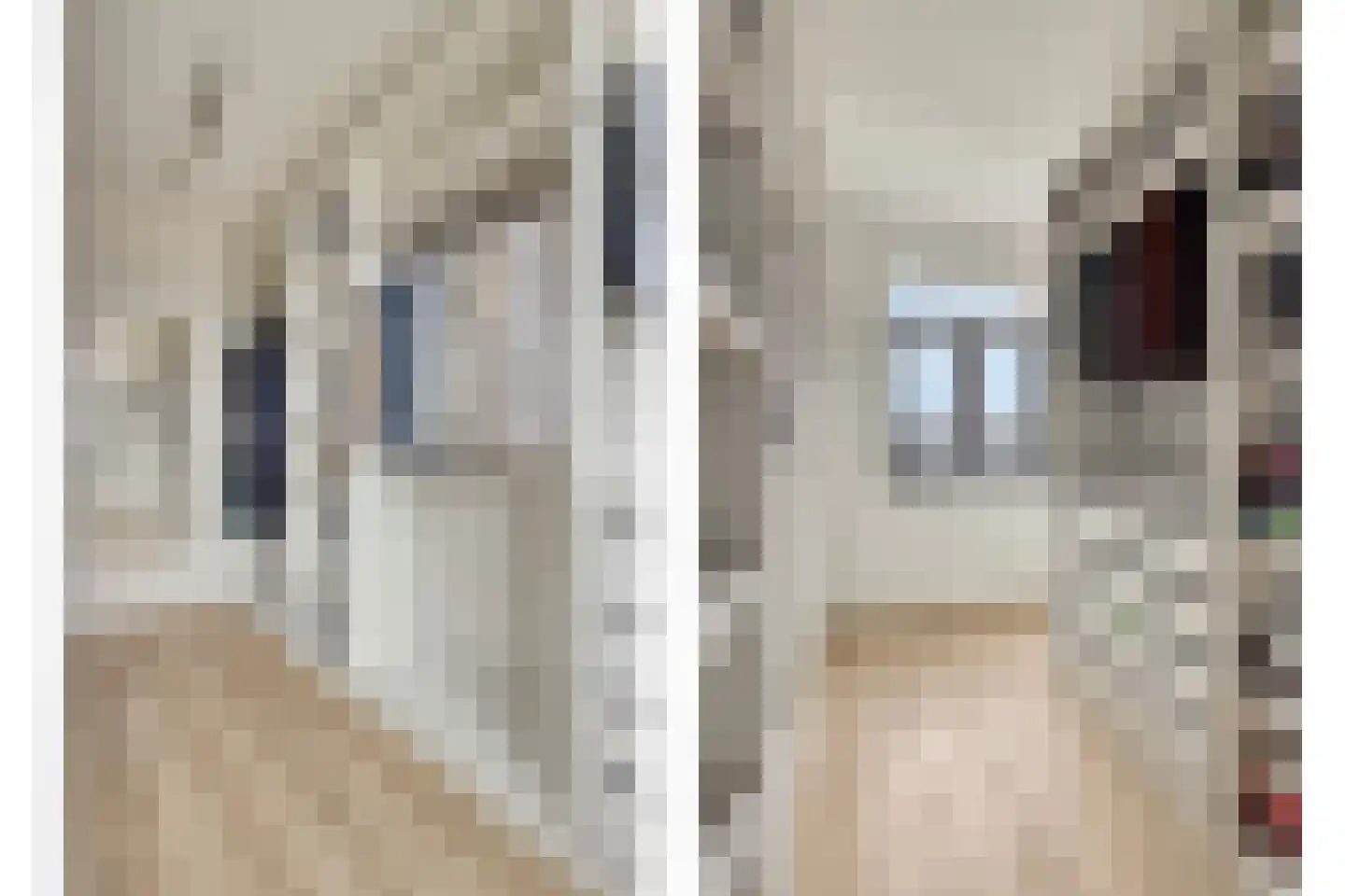 Jachtrust 13 Oegstgeest thumbnail 39