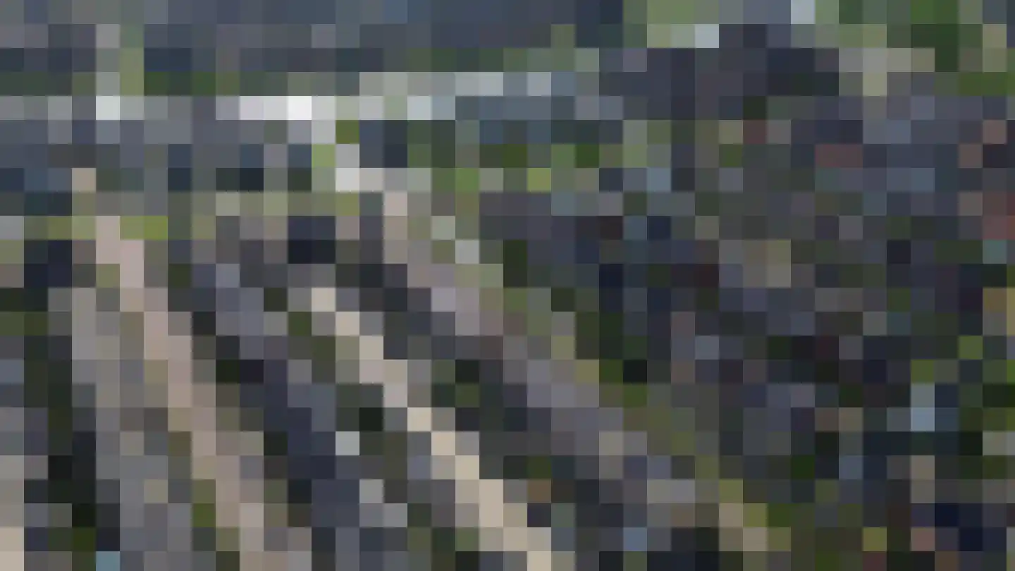 Jachtrust 13 Oegstgeest thumbnail 45