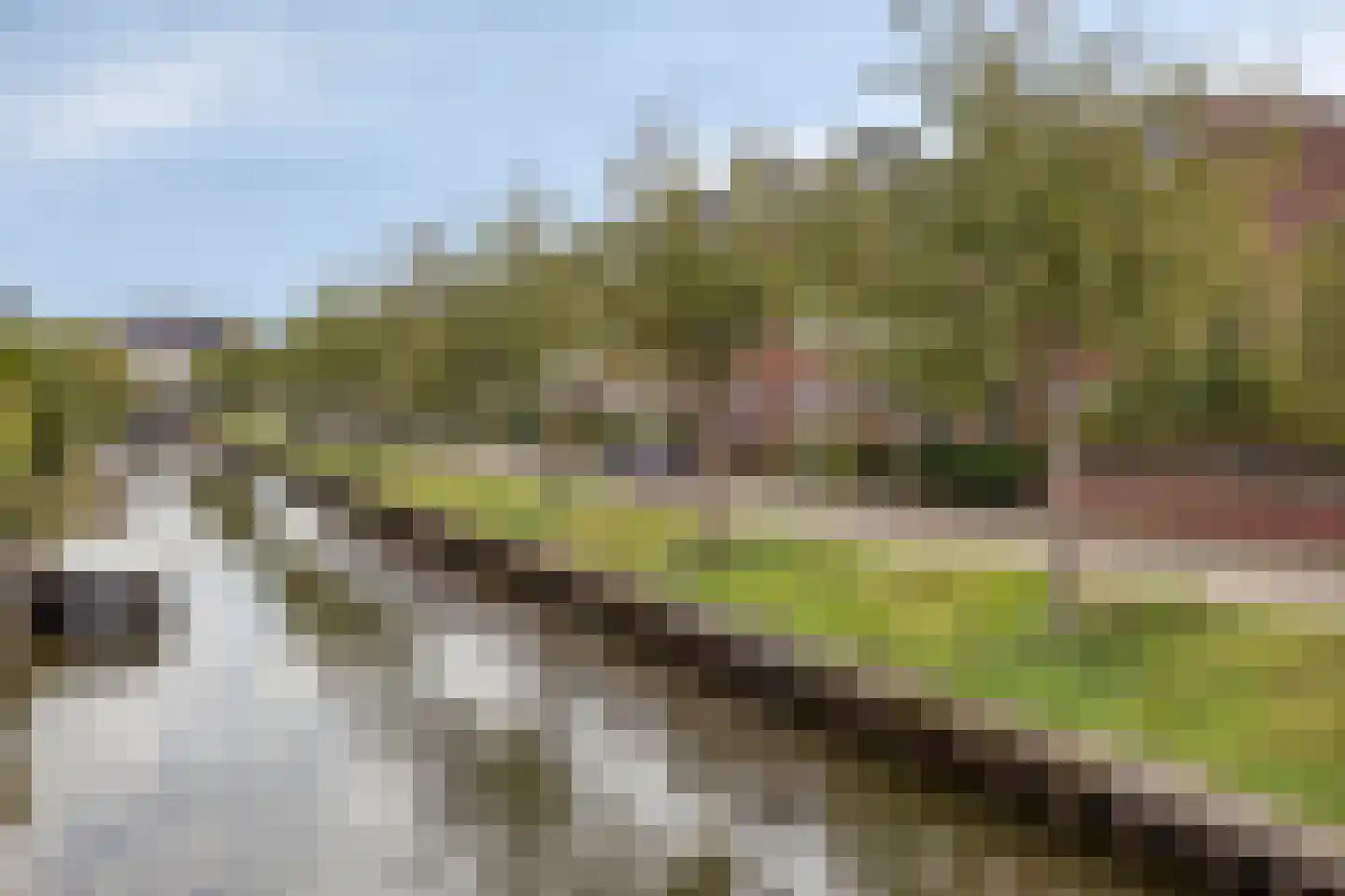 Jachtrust 13 Oegstgeest thumbnail 5