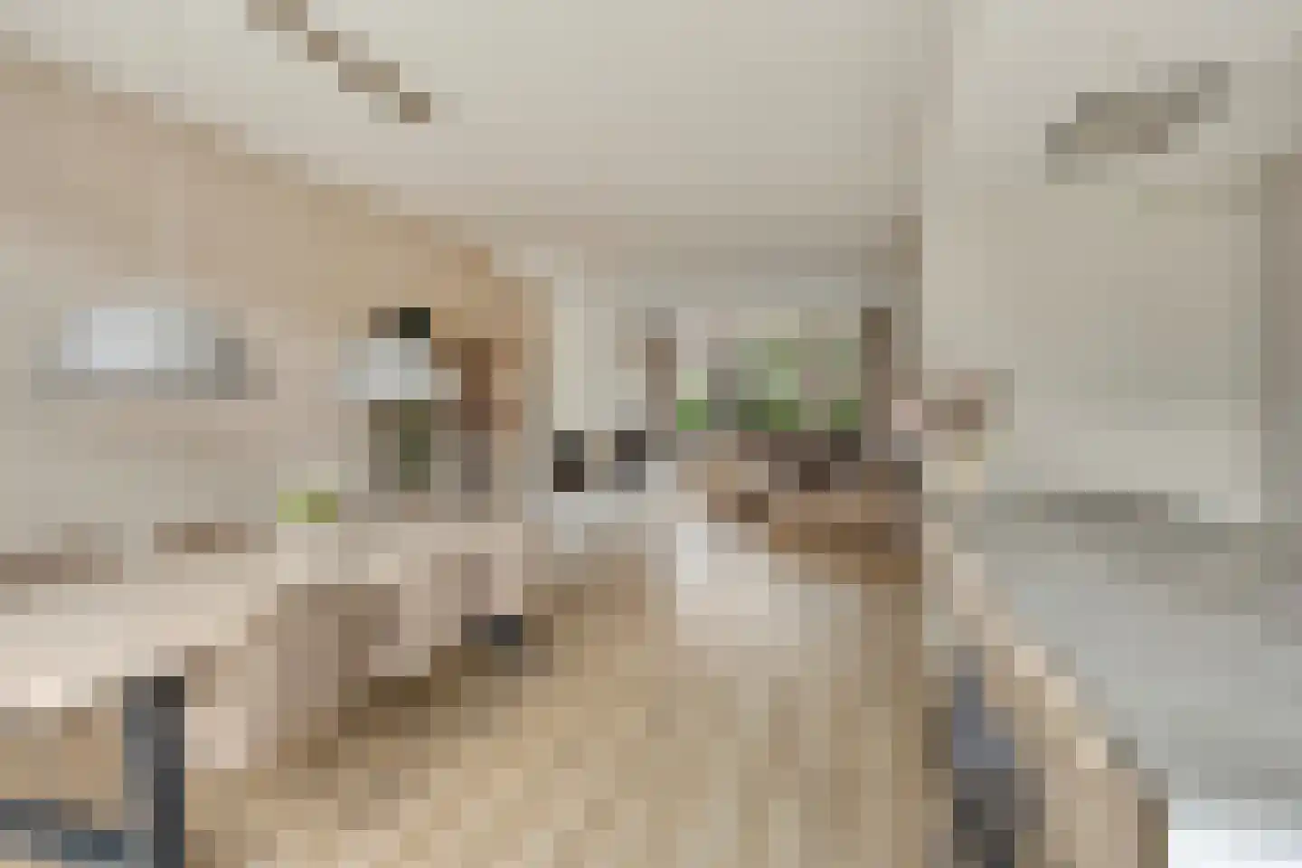 Jachtrust 13 Oegstgeest thumbnail 9
