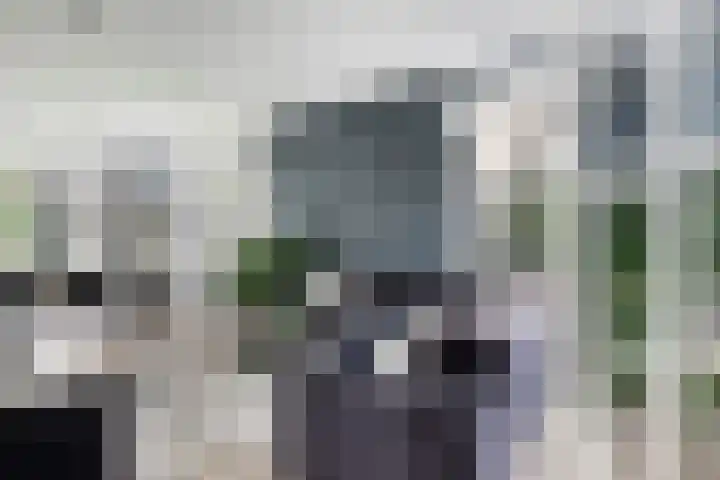 Jachtrust 17 Oegstgeest thumbnail 10