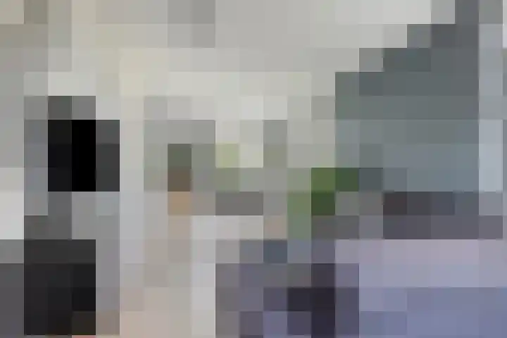 Jachtrust 17 Oegstgeest thumbnail 11