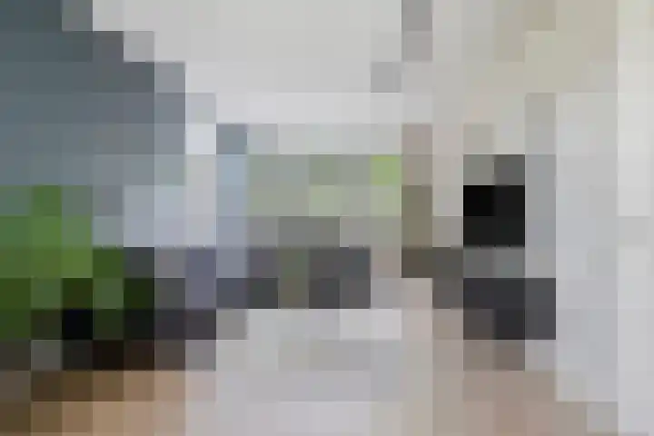 Jachtrust 17 Oegstgeest thumbnail 12